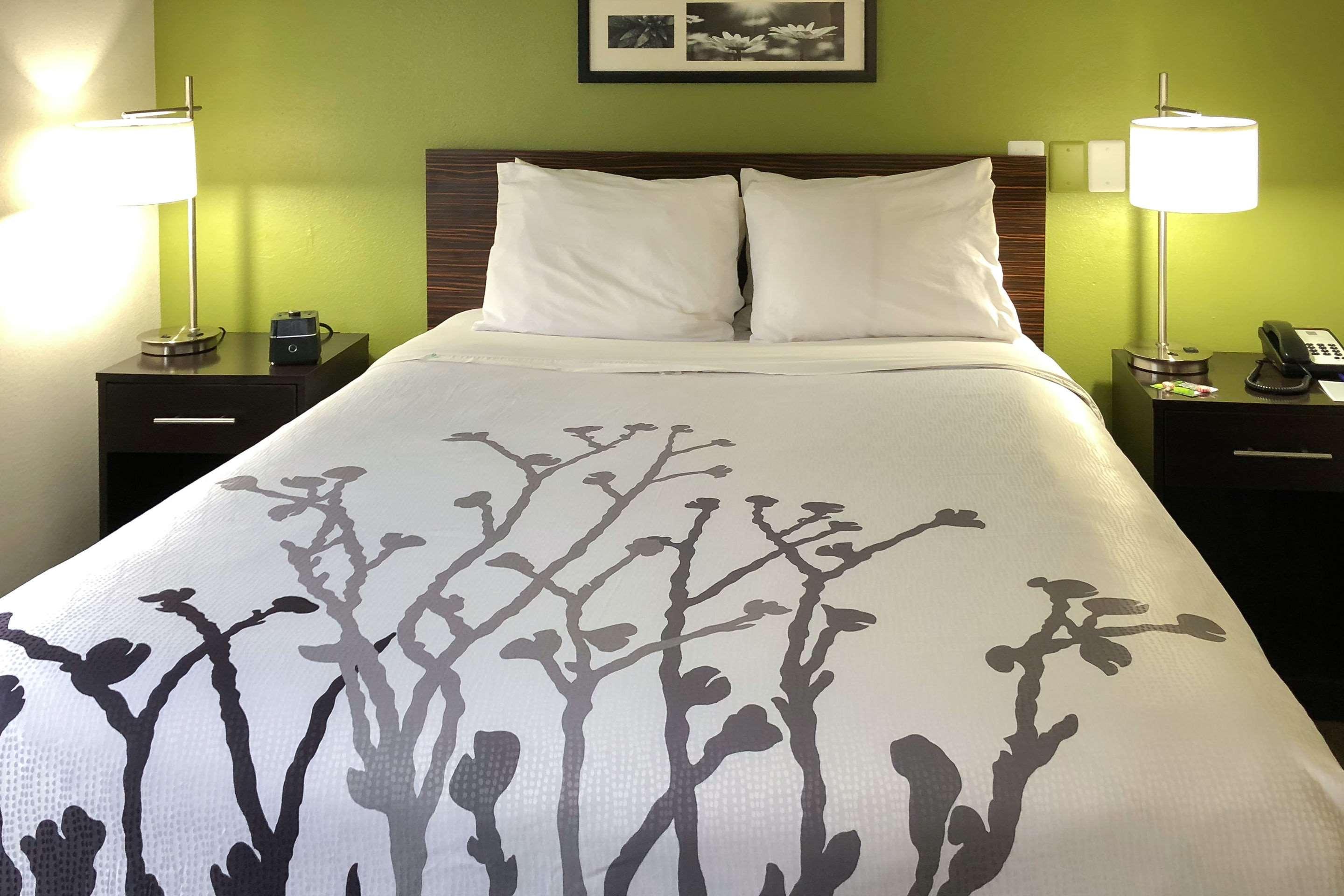 Sleep Inn McDonough Exterior foto
